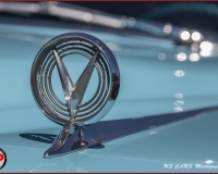 TSR Watermark - 0544